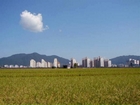 chungju